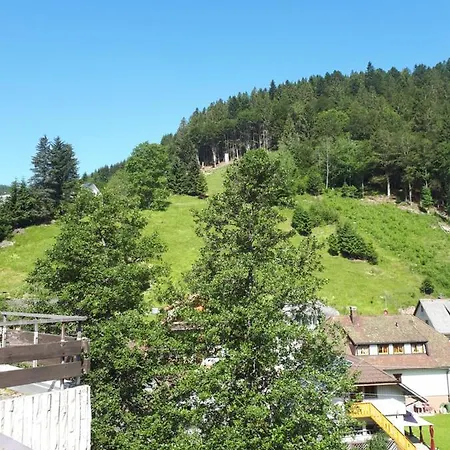 Haus Enere Au Nummer 46 Apartmán Todtmoos