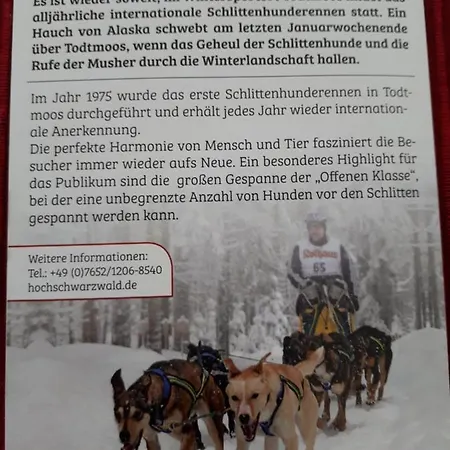 Haus Enere Au Nummer 46 *